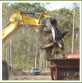 LAND CLEARING AND MULCHING CONTRACTORS , Willawong