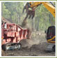 LAND CLEARING AND MULCHING CONTRACTORS , Willawong