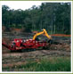 Land clearing and mulching, Willawong 