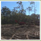 LAND CLEARING AND MULCHING CONTRACTORS , Willawong