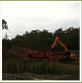 LAND CLEARING AND MULCHING CONTRACTORS , Willawong