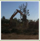 LAND CLEARING AND MULCHING CONTRACTORS , Willawong