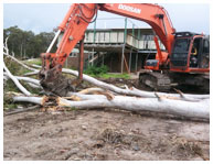 GREEN WASTE MANAGEMENT